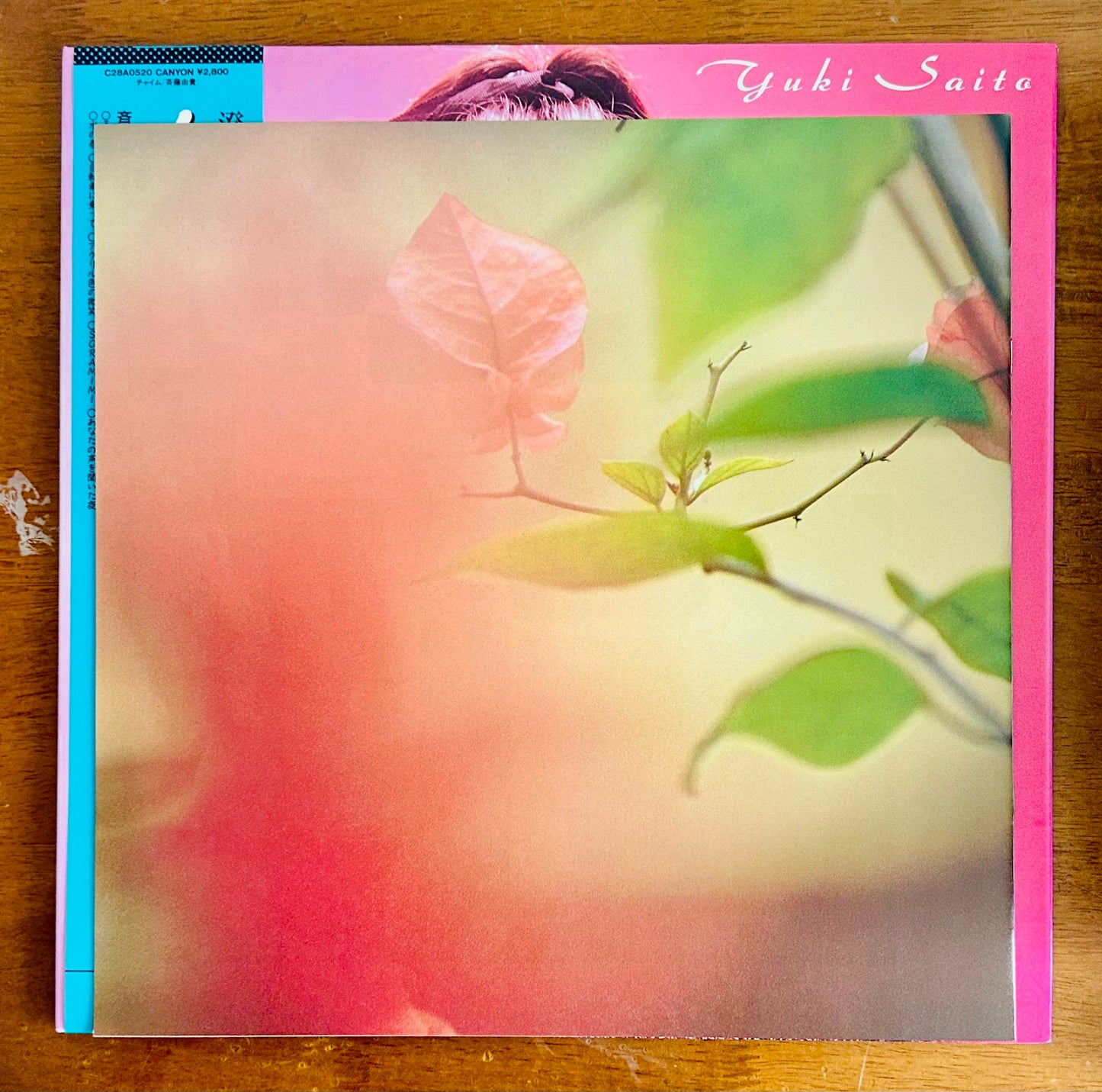 Yuki Saito/ Chime(original1987)