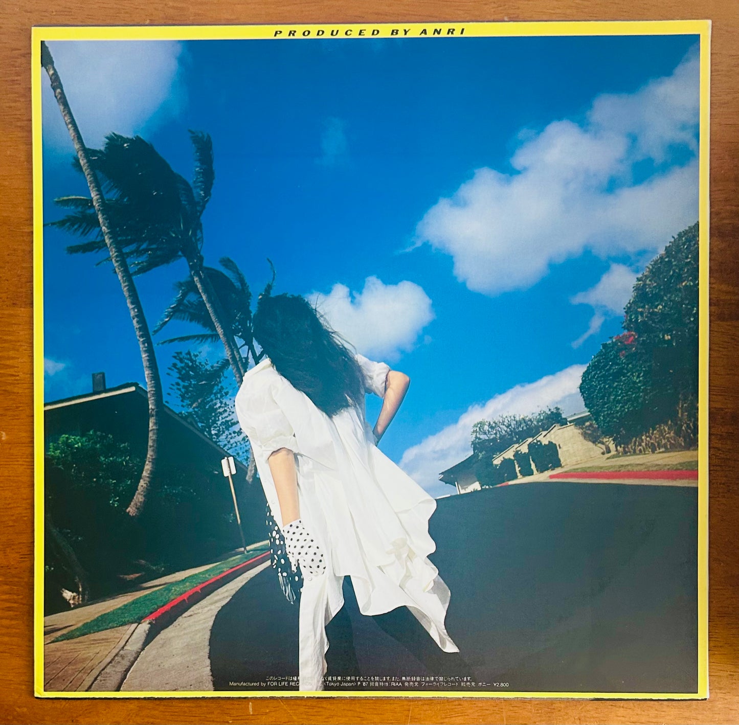 Anri/ Adieux d'été (promo1987)