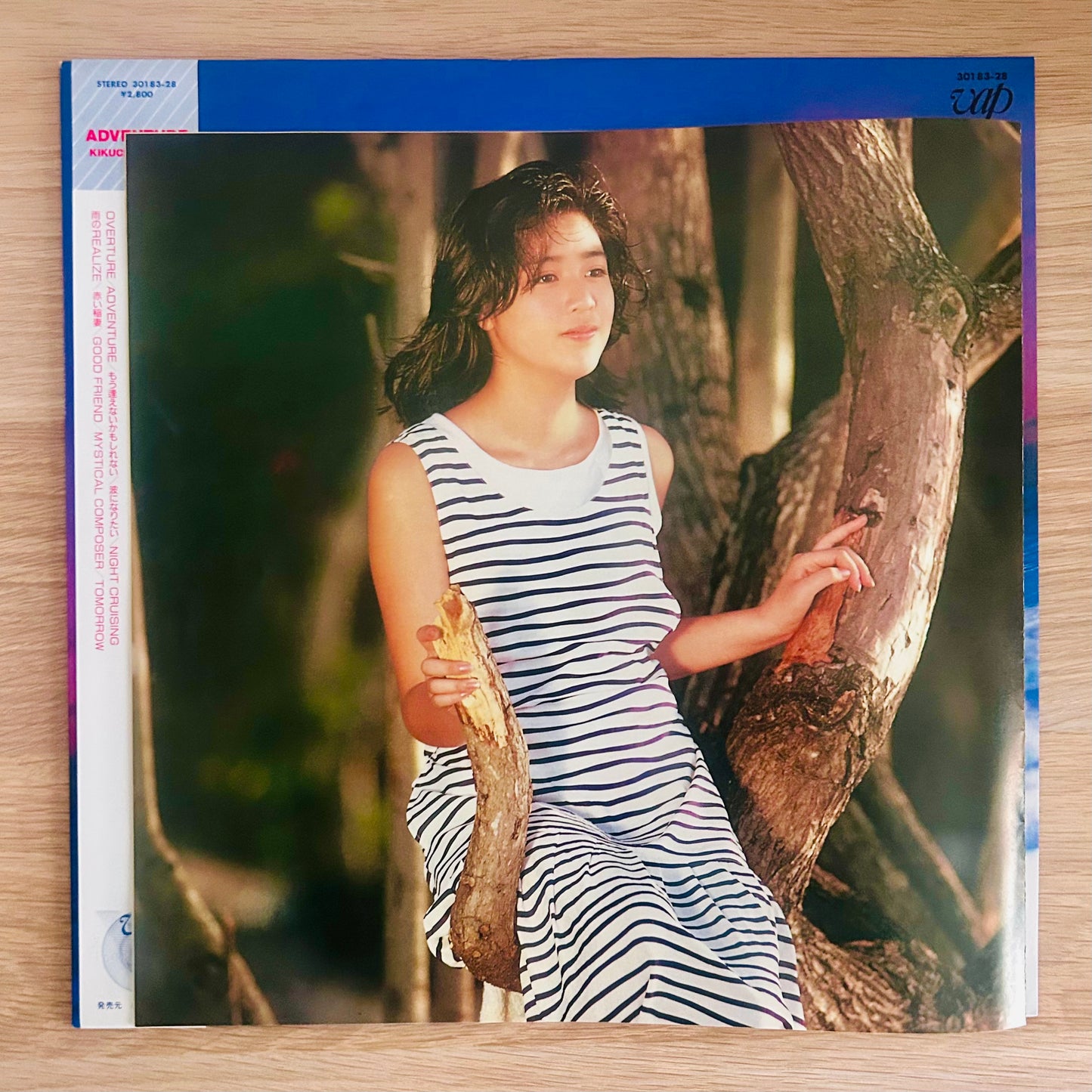 Momoko Kikuchi / Adventure (original 1986)