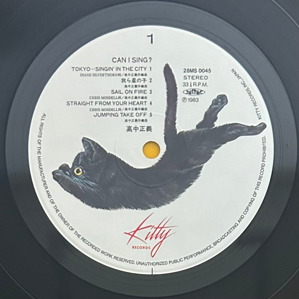 Masayoshi Takanaka/ Can I Sing?   (original 1983)