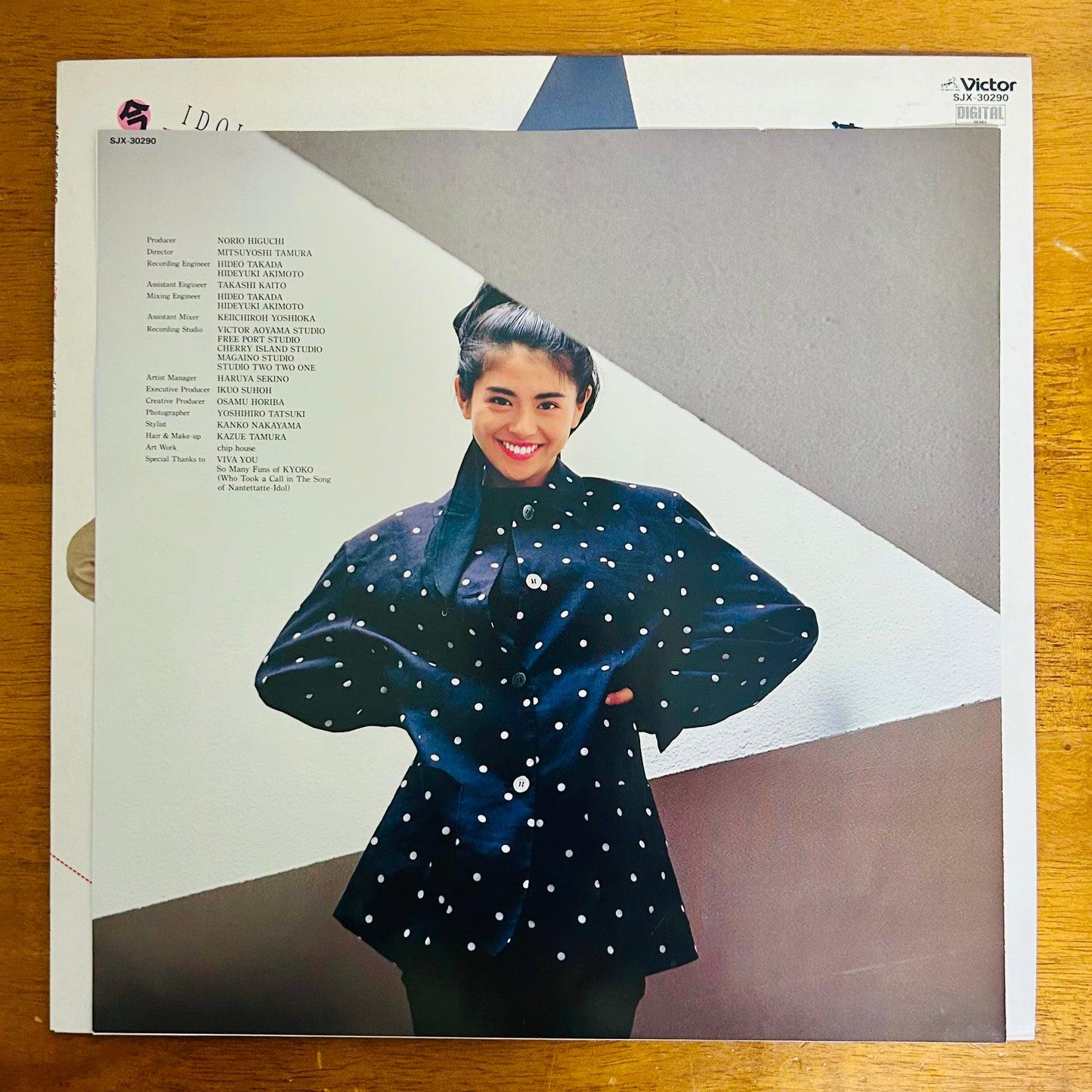 Kyoko Koizumi/ Kyoko’s Pure, Joyful, and Beautiful Life (original 1986)