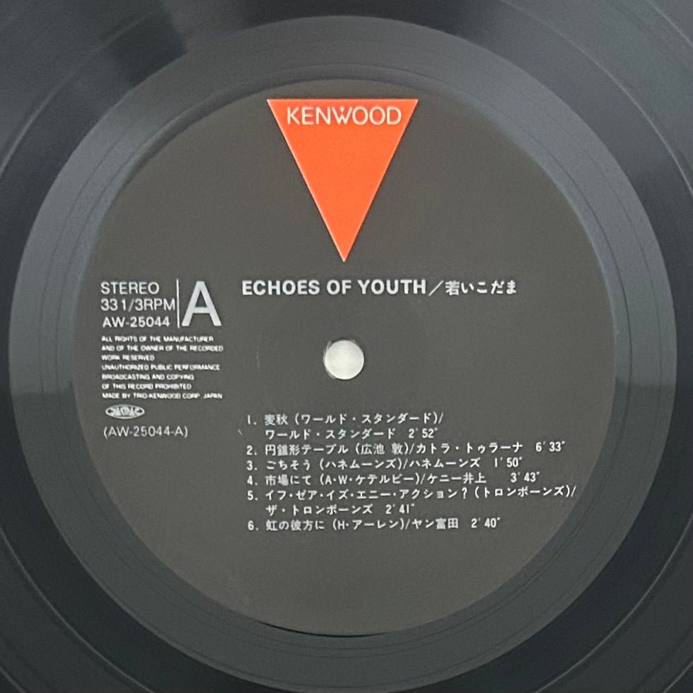 V.A/ Echoes Of Youth  (Compilation 1983)