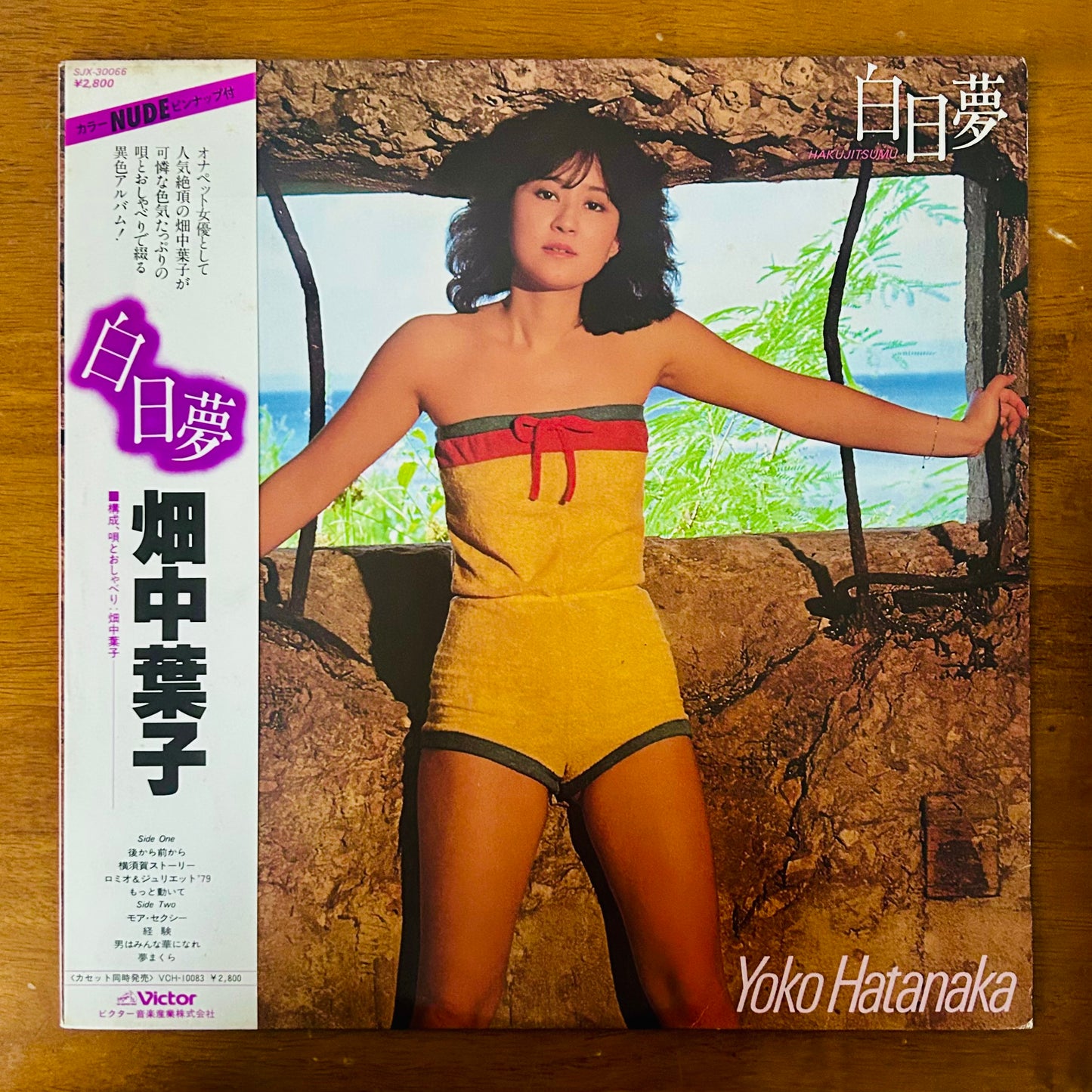 Yoko Hatanaka/ Daydream (白日夢)  (original 1981)