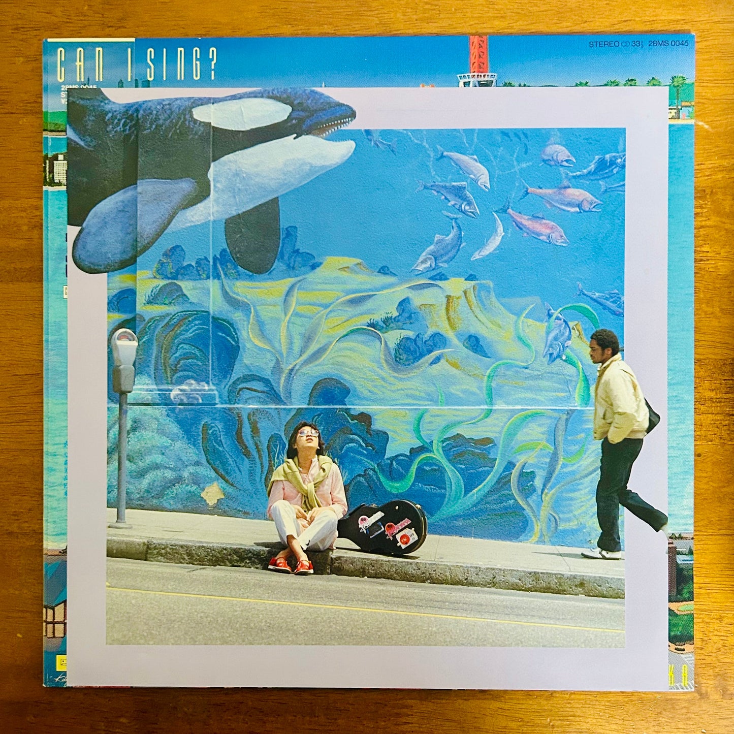 Masayoshi Takanaka/ Can I Sing?   (original 1983)