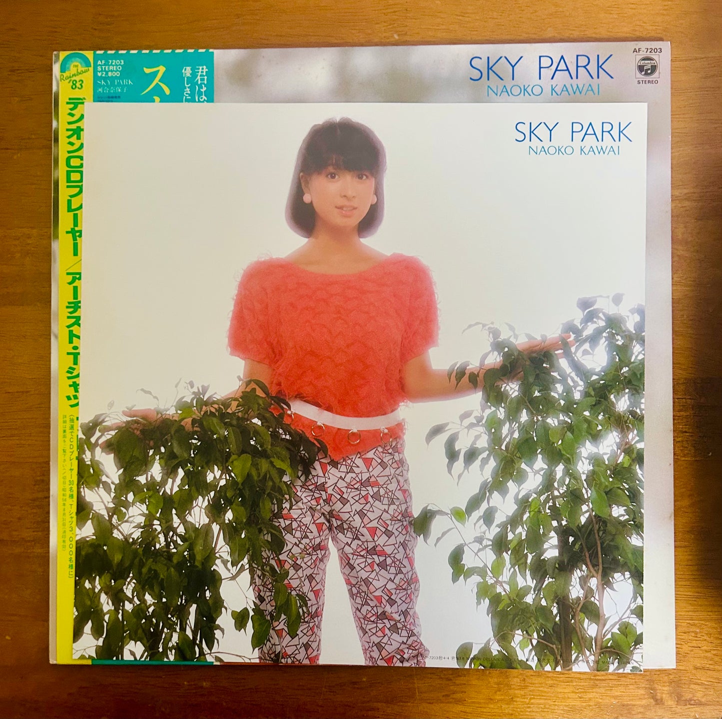 Naoko Kawai / Sky Park (original 1983)