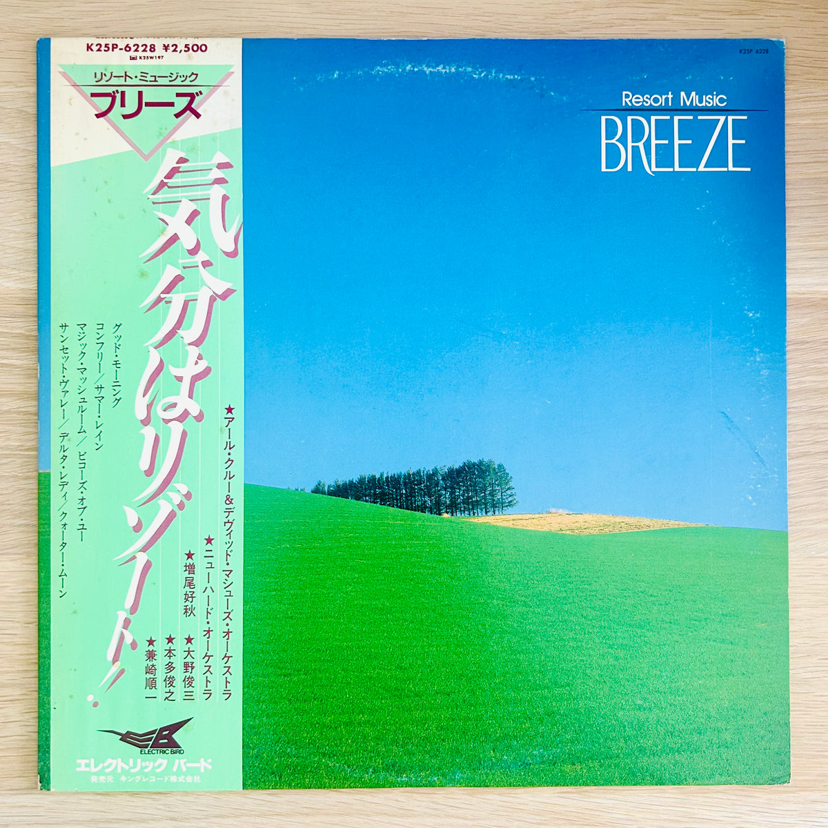 V.A/ Resort Music Breeze  (original 1983)