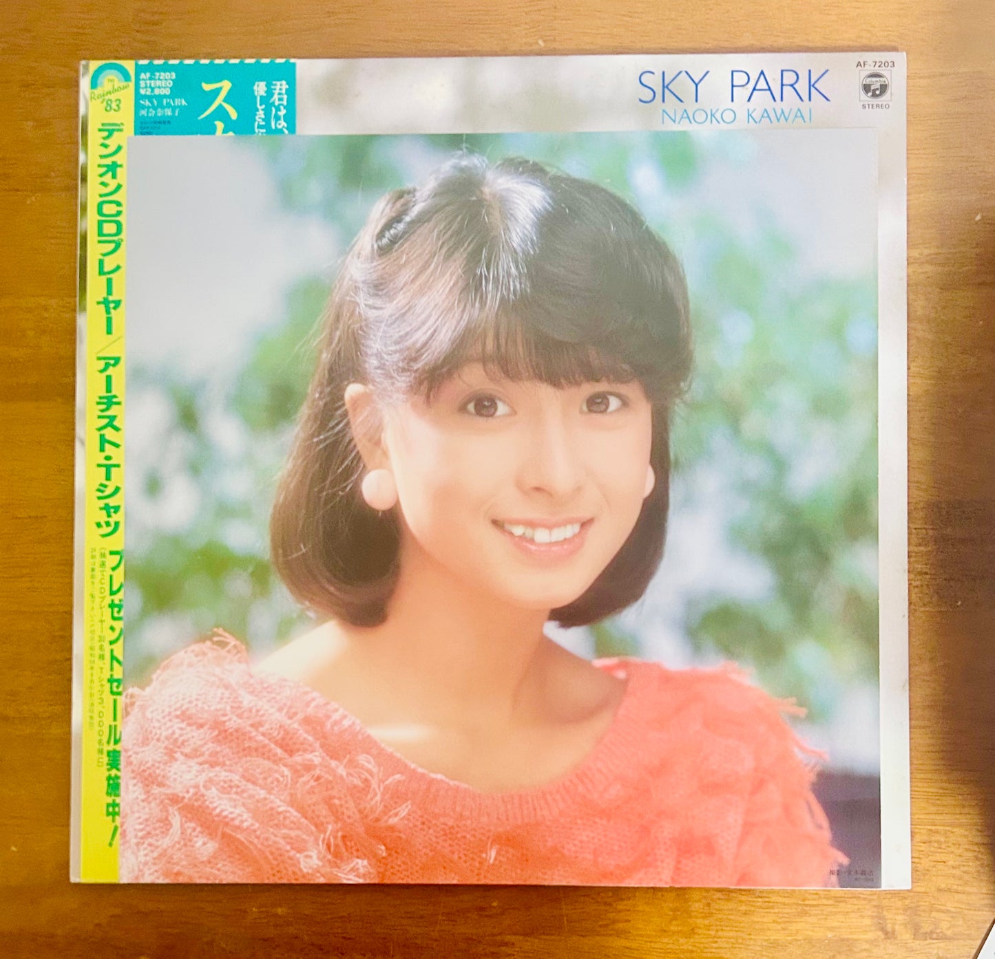 Naoko Kawai / Sky Park (original 1983)