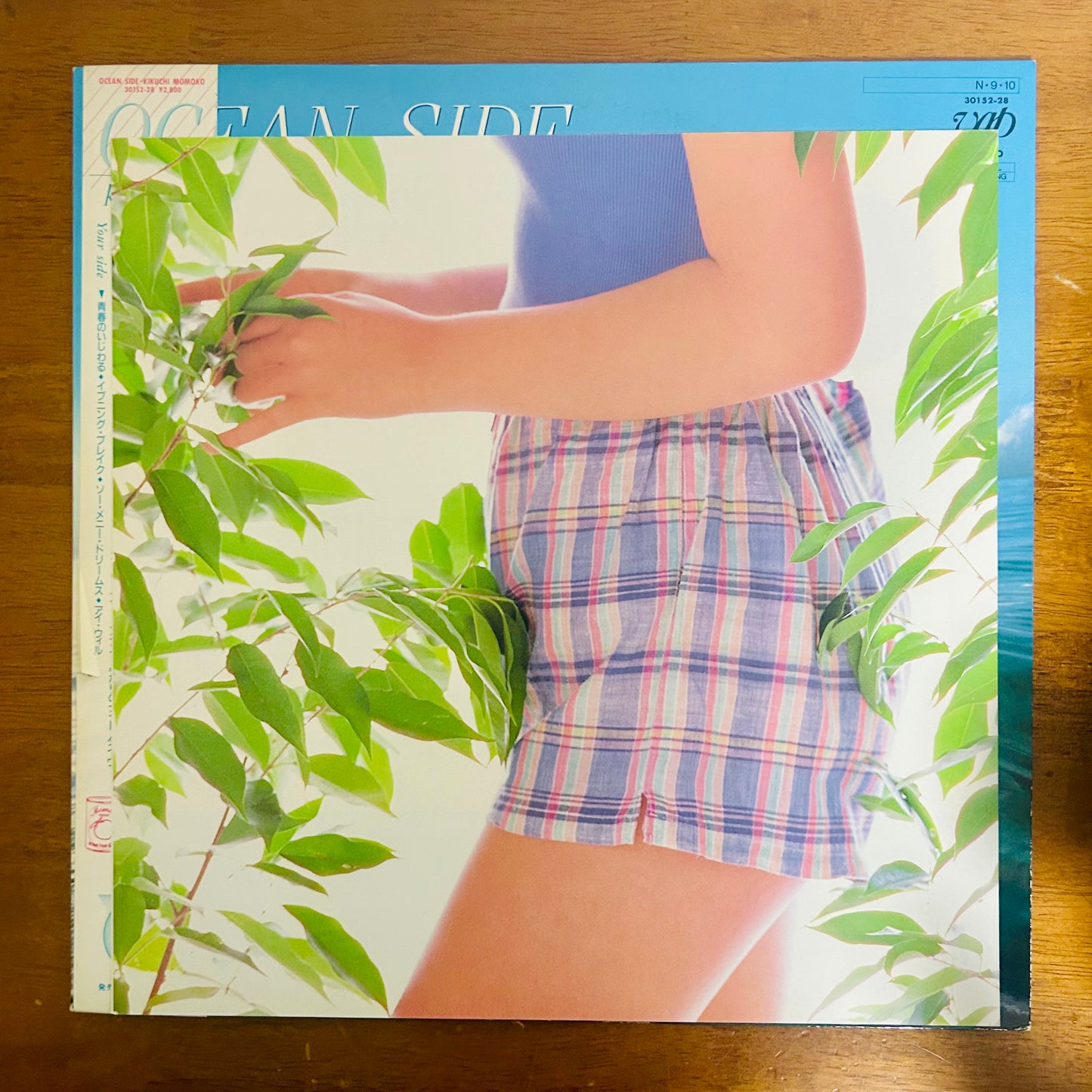 Momoko Kikuchi/ Ocean Side  (original 1984)