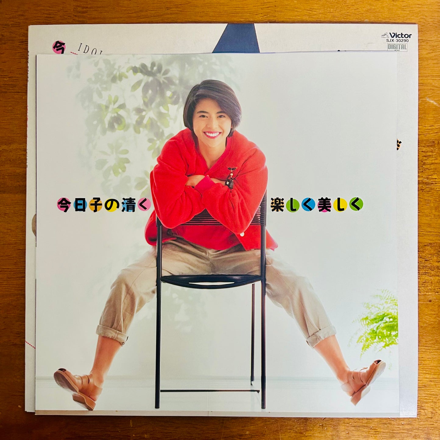 Kyoko Koizumi/ Kyoko’s Pure, Joyful, and Beautiful Life (original 1986)