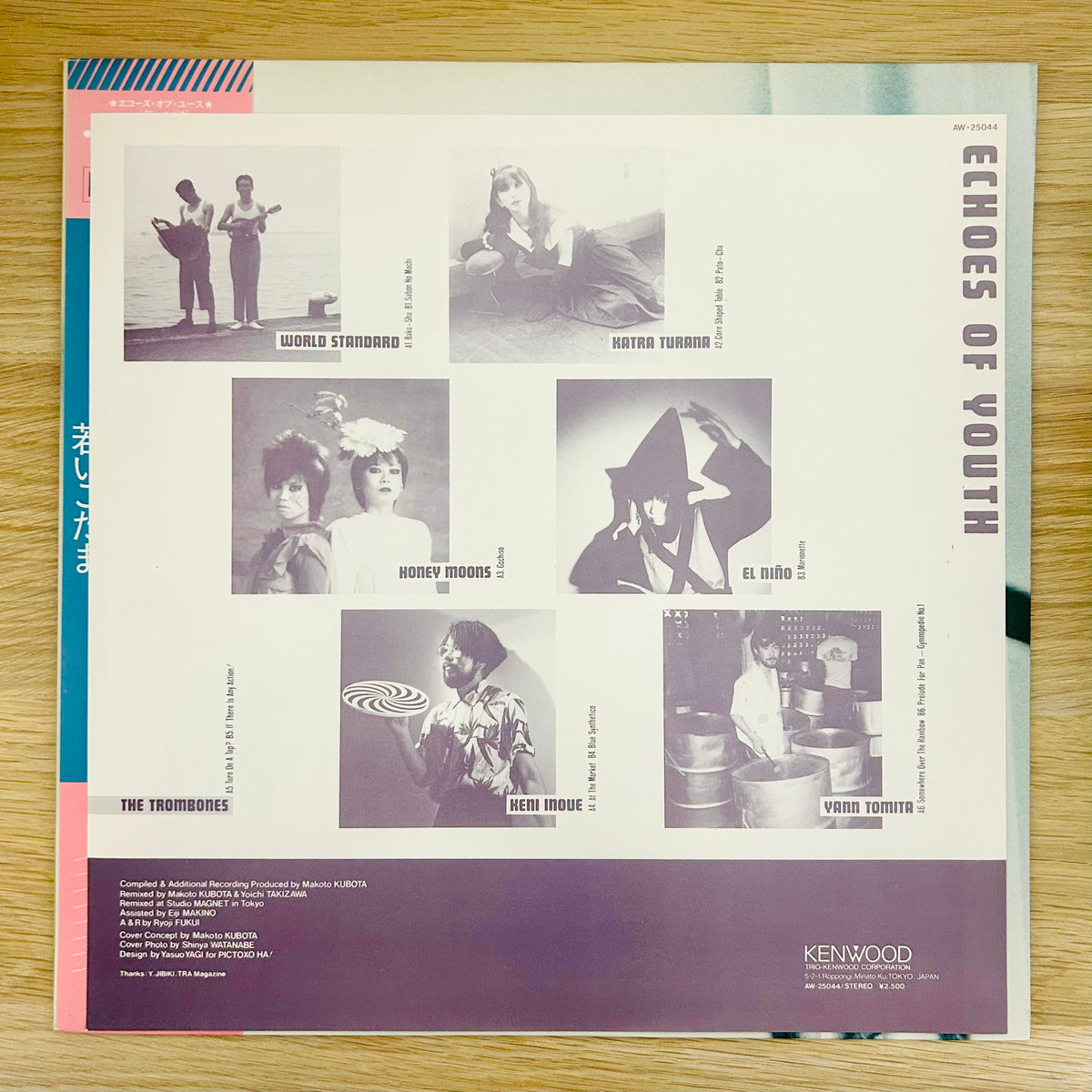 V.A/ Echoes Of Youth  (Compilation 1983)