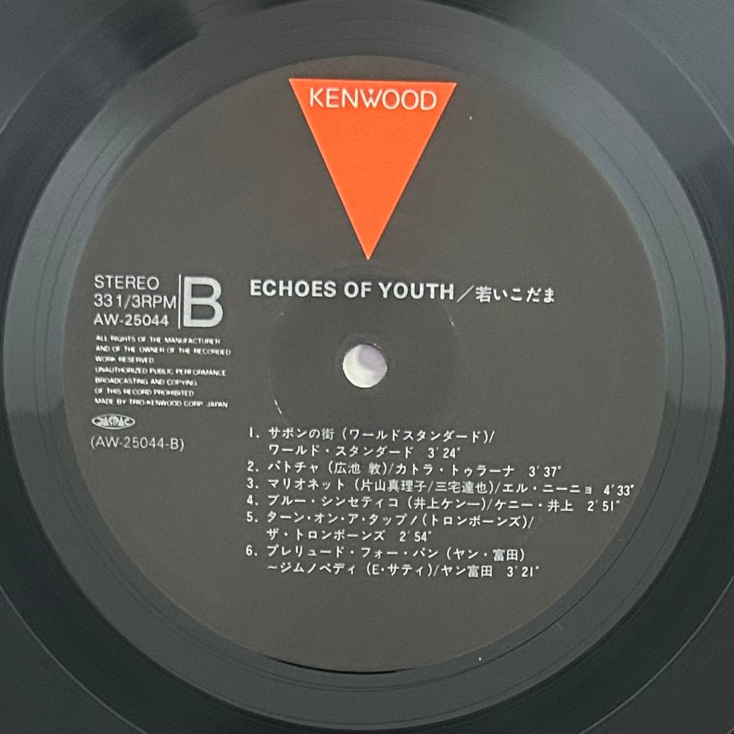 V.A/ Echoes Of Youth  (Compilation 1983)