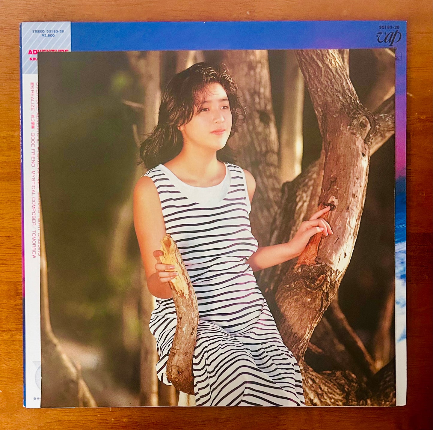 Momoko Kikuchi / Adventure (original 1986)
