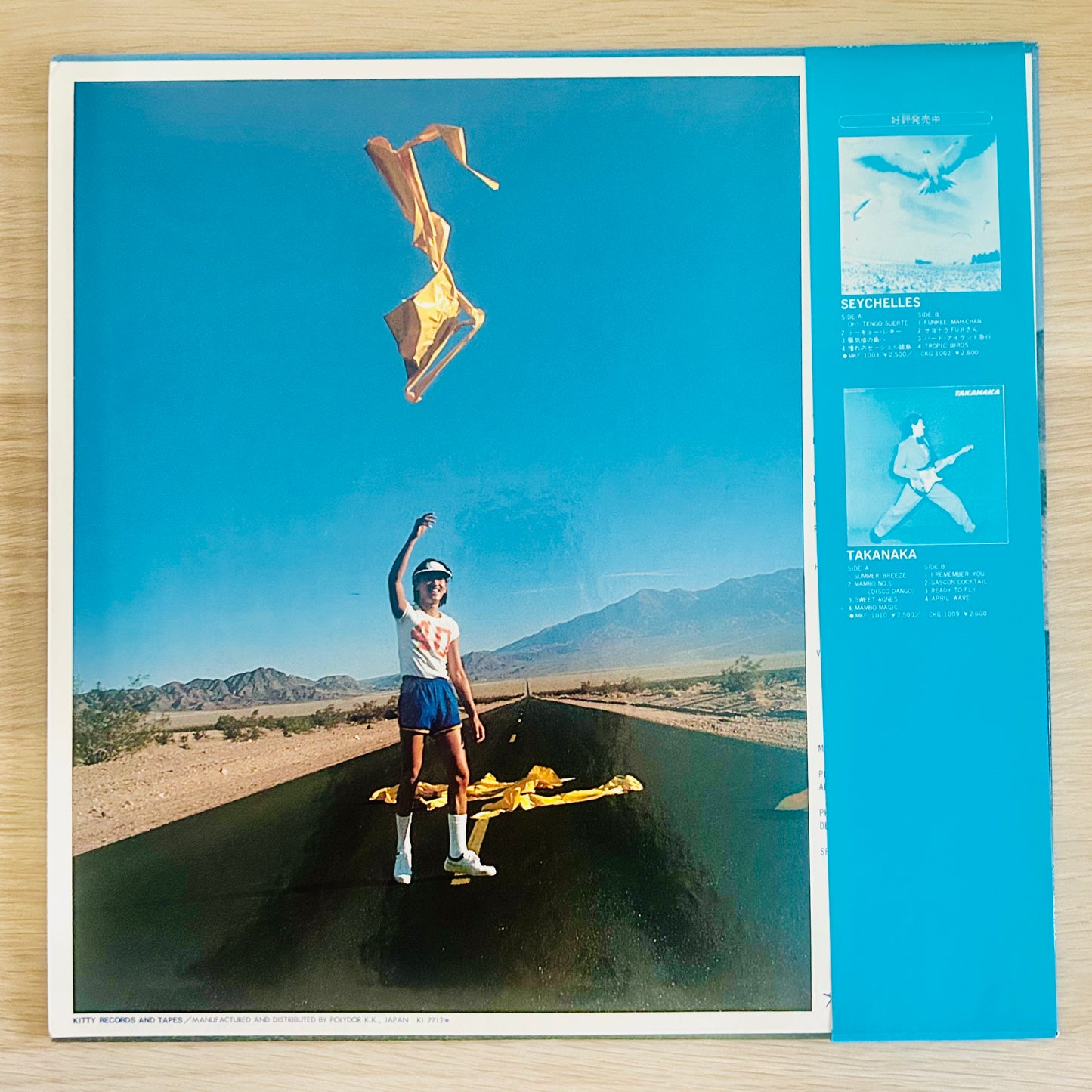 Masayoshi Takanaka / An Insatiable High  (original 1977)