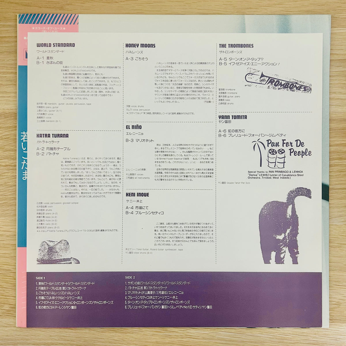 V.A/ Echoes Of Youth  (Compilation 1983)