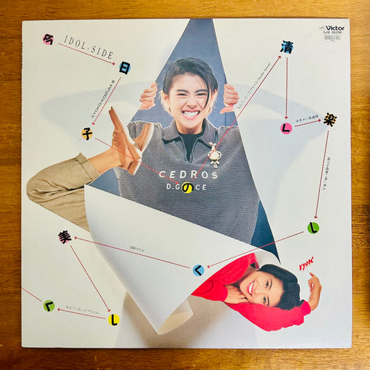 Kyoko Koizumi/ Kyoko’s Pure, Joyful, and Beautiful Life (original 1986)