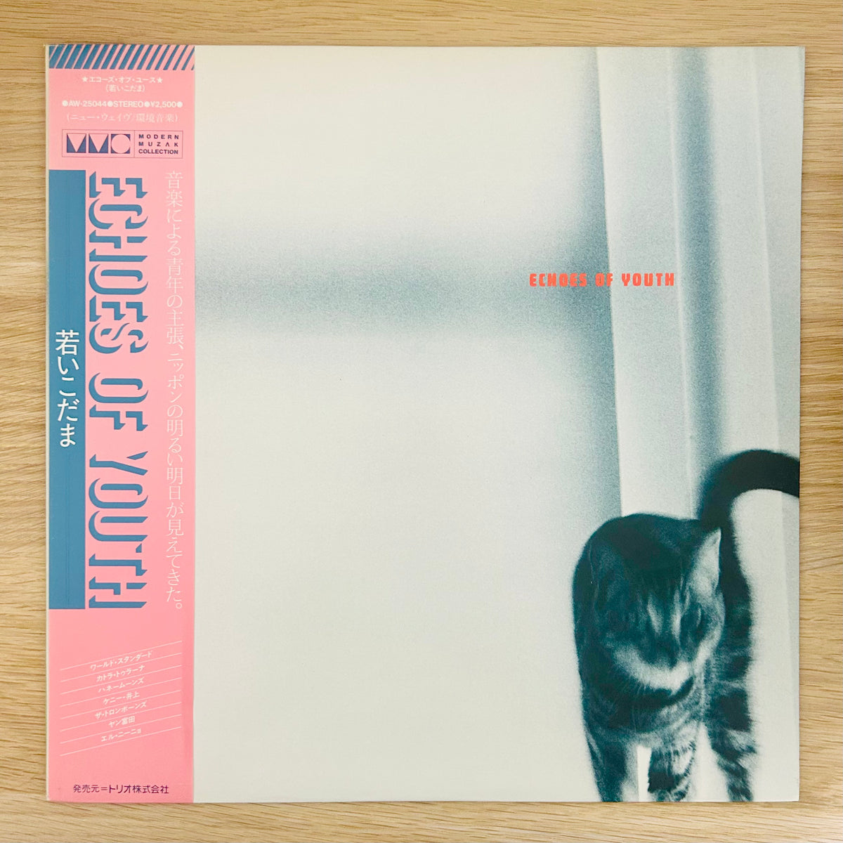 V.A/ Echoes Of Youth  (Compilation 1983)