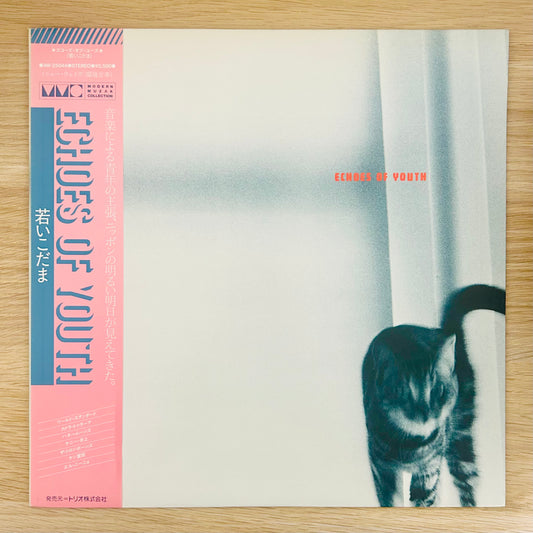 V.A/ Echoes Of Youth  (Compilation 1983)