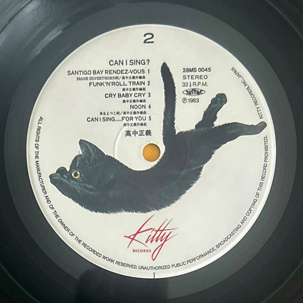 Masayoshi Takanaka/ Can I Sing?   (original 1983)