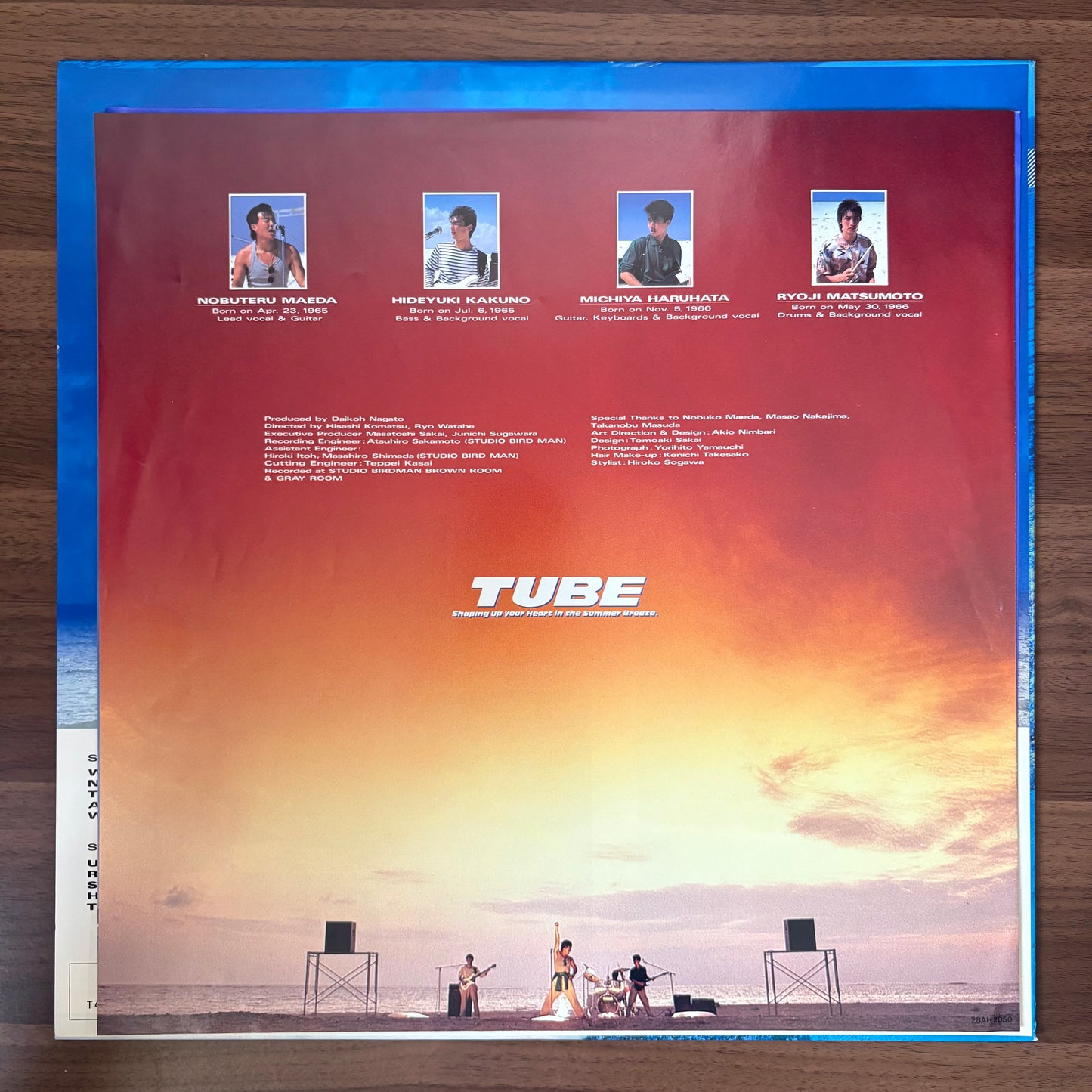 TUBE /The Season In The Sun  (original 1986)