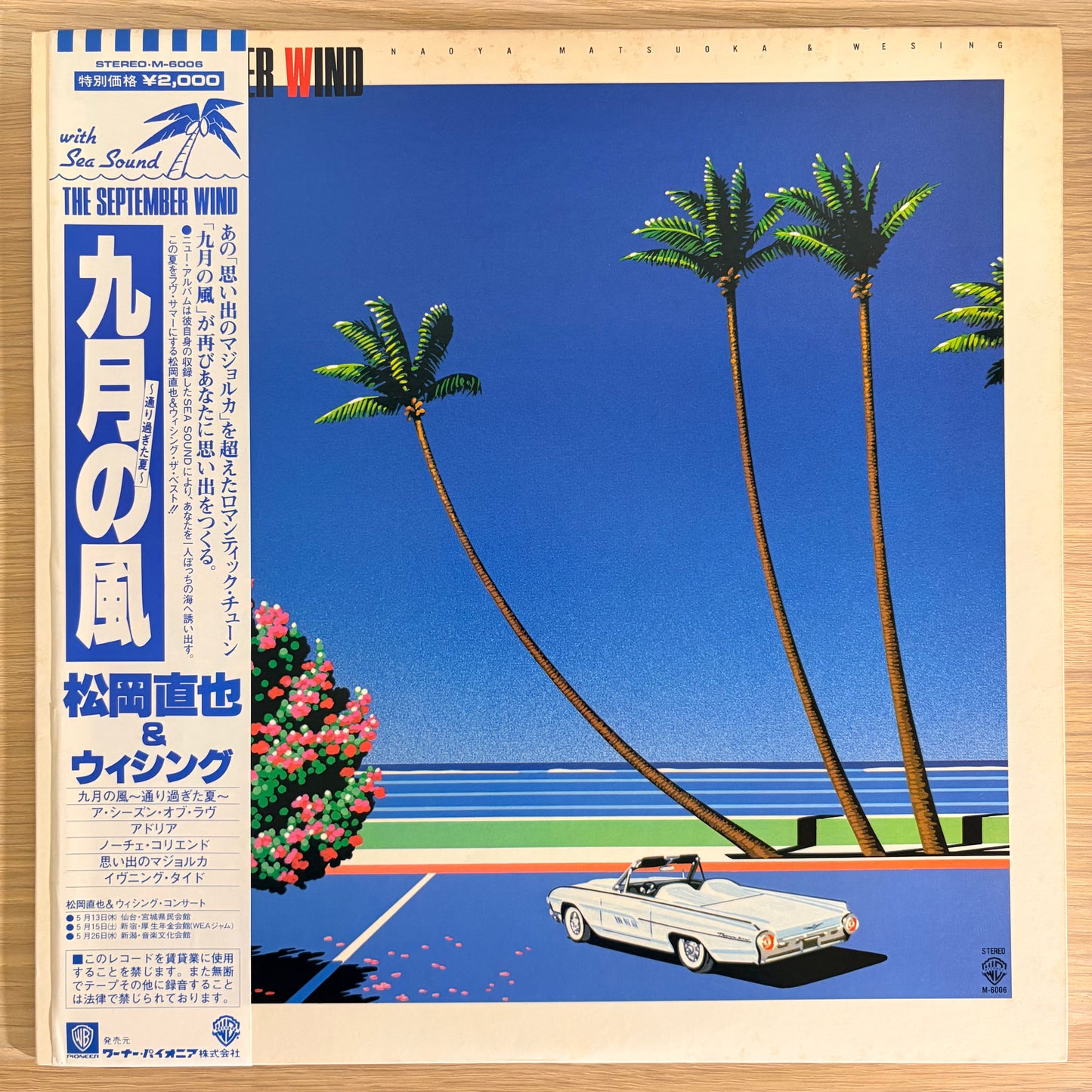 Naoya Matsuoka & Wesing / The September Wind（Original 1982）