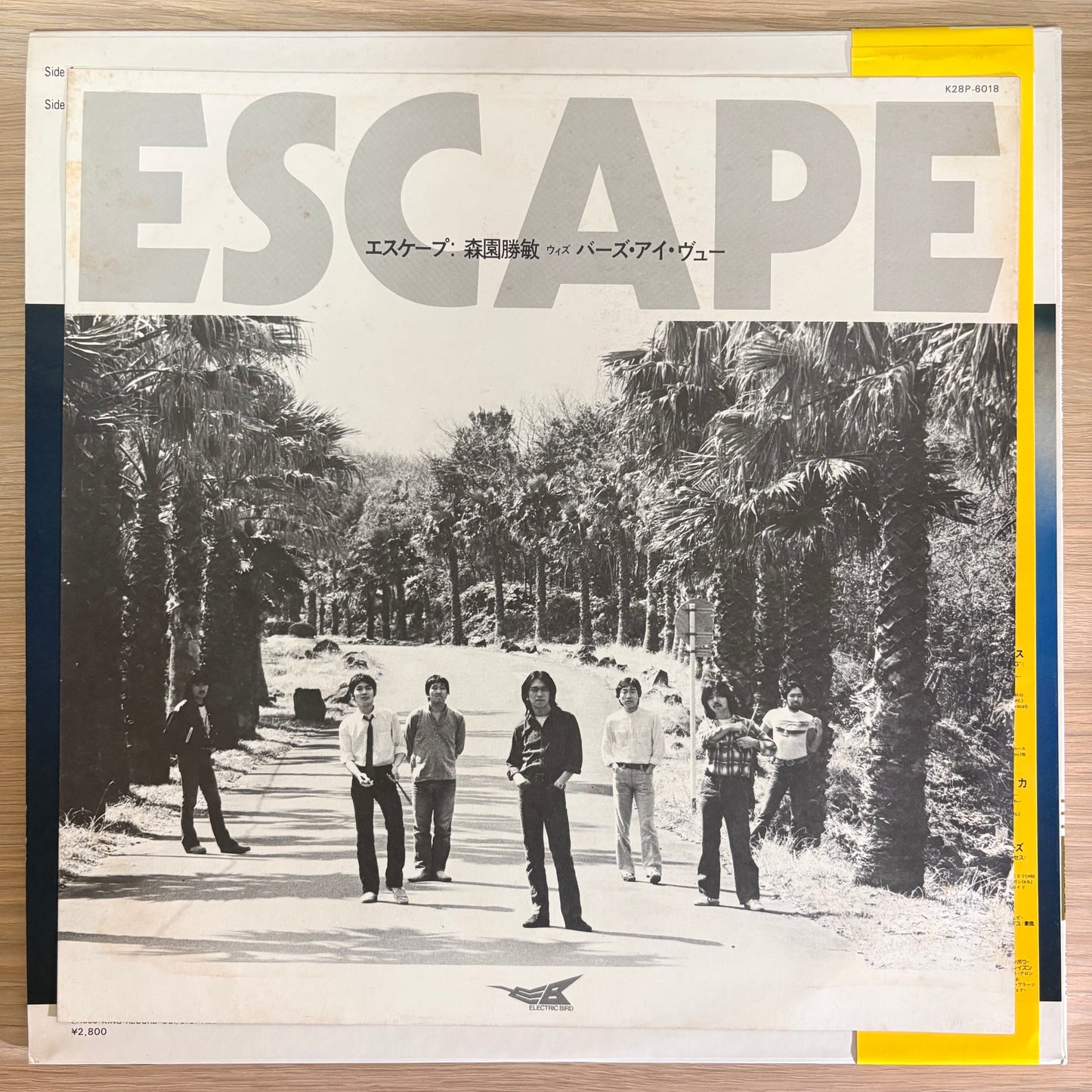 Katsutoshi Morizono with Bird’s Eye View / Escape（Original 1980）